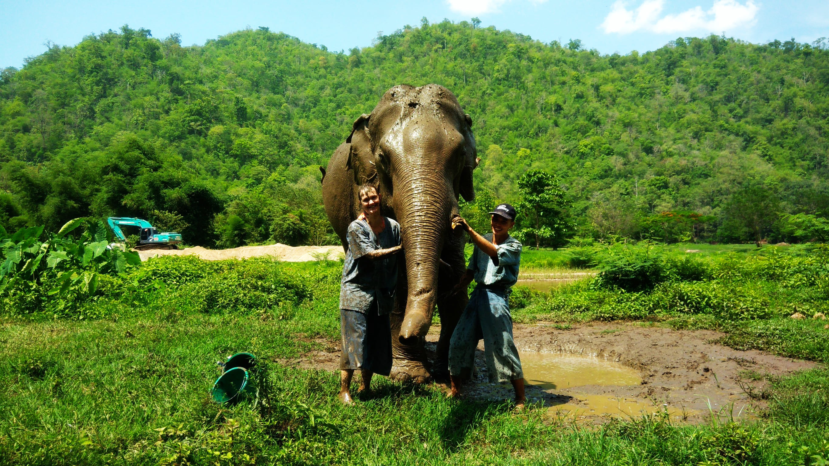 Elephant - Chang Thai Heritage